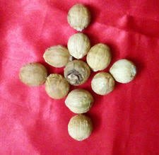 NOBILITY Mahalakshmi Set Pooja Puja Items 11 pcs gomti chakra, 11 pcs peeli kaudi, 11 pcs rakhta gunja,11 pcs laghu nariyal for Home Mandir
