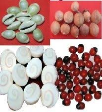 NOBILITY Mahalakshmi Set Pooja Puja Items 11 pcs gomti chakra, 11 pcs peeli kaudi, 11 pcs rakhta gunja,11 pcs laghu nariyal for Home Mandir